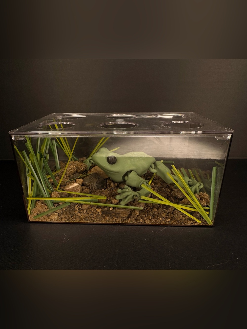 Play pretend pet frog with terrarium
